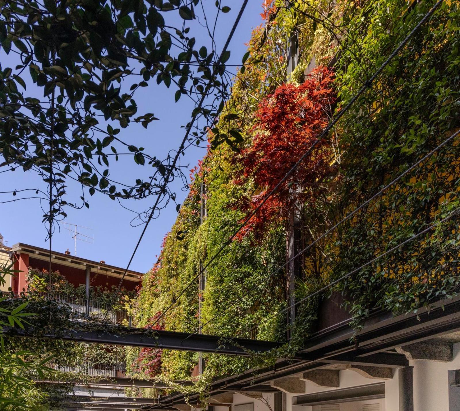 Casa Coppa Maple Holiday home