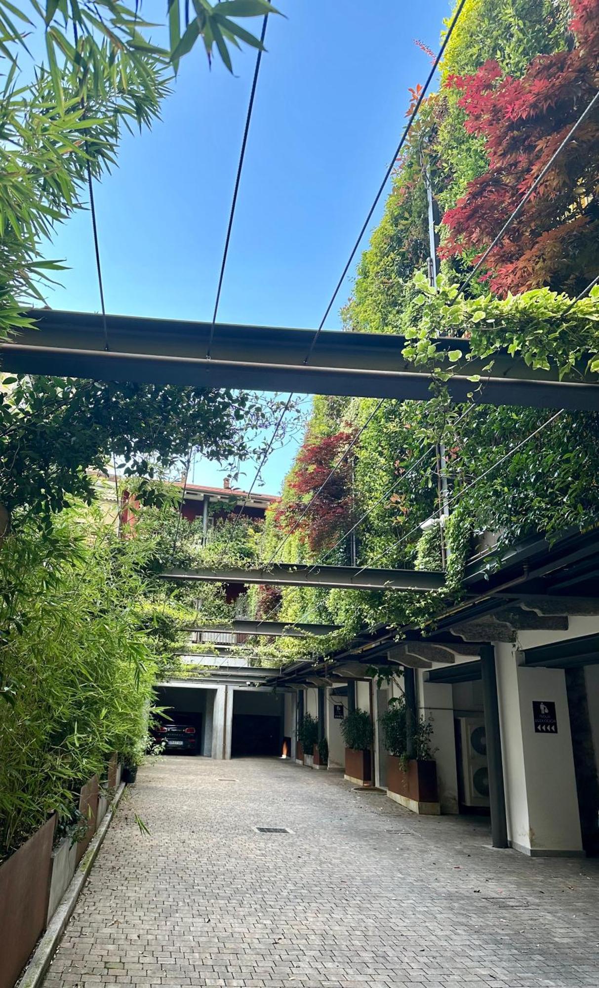 Casa Coppa Maple Holiday home Omegna